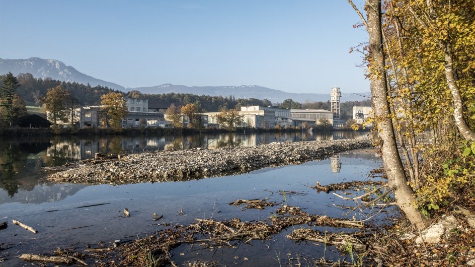 Renaturierung an der Aare