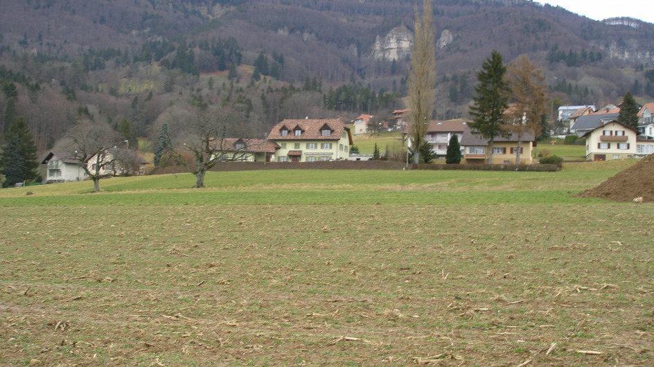 Gebiet Geracker
