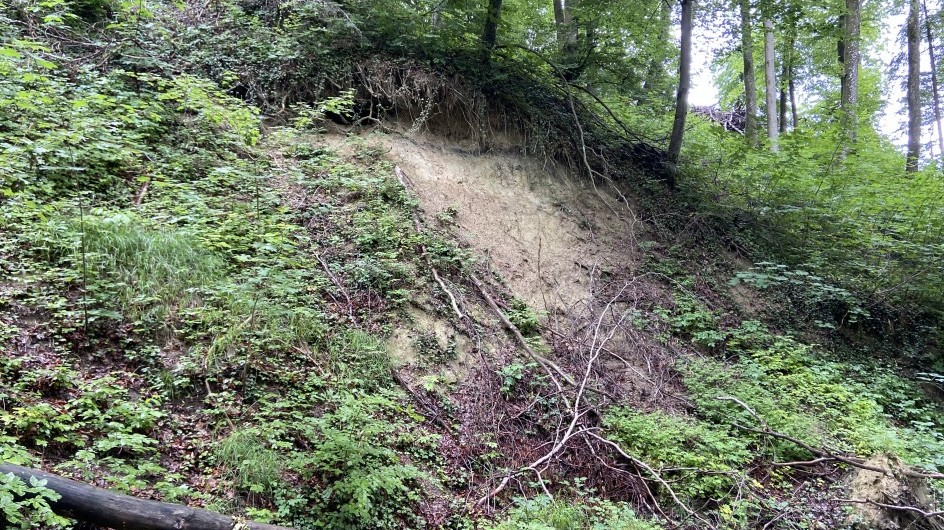 Bestehende Rutschung beim Mettlenbach, welche beobachtet werden muss.