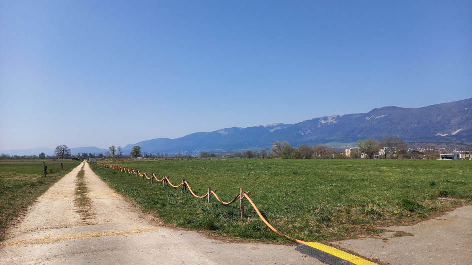Blick auf Deponie Spitelfeld und Libellenweg