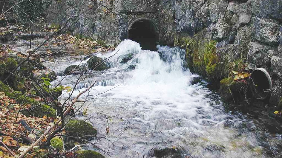 Wildbach